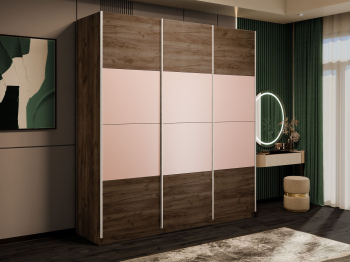 Шкаф-купе Эста 3-х дверный ДСП/Стекла пудра/Доводчик 300х66х240