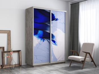 Шкаф-купе Экспресс 1010, 160х45х220