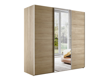 Шкаф-купе Эста ДСП+Зеркало+ДСП 300х66х240