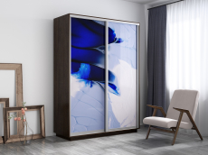 Шкафы-купе, Шкаф-купе Экспресс 1010, 120х45х240