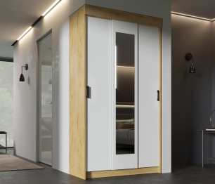 Шкаф-купе Эко 1,2 м ЛДСП