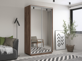 Шкаф-купе Экспресс Хит 2х дверный Зеркала 120х60х220