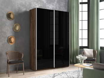 Шкаф-купе Прайм 2-х дверный Стекла черные/Доводчики 140х57х230