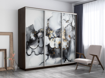 Шкаф-купе Экспресс 1001, 180х45х220