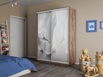 Шкаф-купе Экспресс 2-х дверный Фотопечать Шелк Стекла 120х45х240