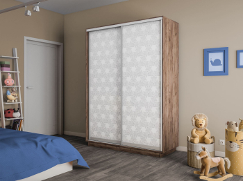 Шкаф-купе Экспресс 2-х дверный Фотопечать Калейдоскоп Стекла 160х60х220