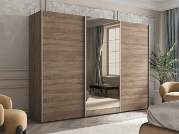 Шкаф-купе Эста ДСП+Зеркало+ДСП 300х66х240