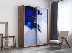 Шкафы-купе, Шкаф-купе Экспресс 1010, 160х45х220