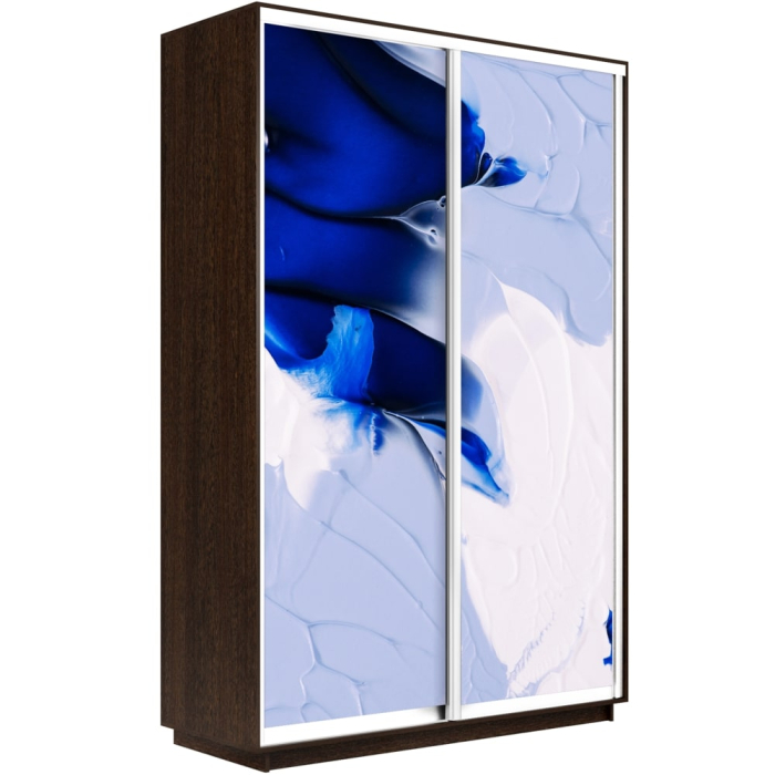 Шкафы-купе, Шкаф-купе Экспресс 1010, 160х60х220