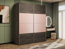 Шкафы-купе 2-х дверные, Шкаф-купе Эста 2-х дверный ДСП/Стекла пудра/Доводчик 160х66х240