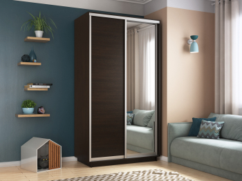 Шкаф-купе Экспресс Хит 2х дверный ДСП/Зеркало 120х60х220