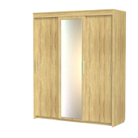 Шкафы-купе 3-х дверные, Шкаф-купе шк-21 с зеркалом
