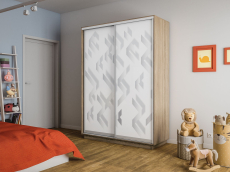 Шкафы-купе 2-х дверные, Шкаф-купе Экспресс 2-х дверный Фотопечать Ленты Стекла 160х60х220