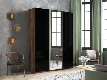 Шкаф-купе Прайм 3-х дверный Стекла черные/Зеркало/Доводчики 210х57х230