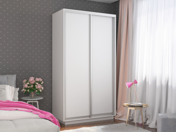 Шкаф-купе Экспресс Хит 2х дверный ДСП 120х60х220