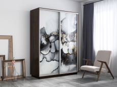 Шкафы-купе, Шкаф-купе Экспресс 1001, 160х45х240