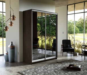 Шкаф-купе Экспресс Экспенс дуо 2200 x 1600 x 600