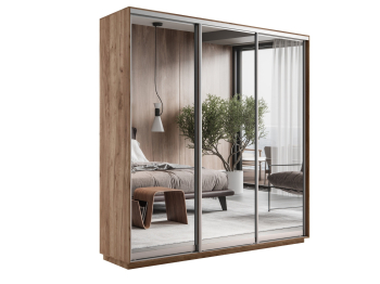 Шкаф-купе Экспресс Экспенс трио 2200 x 2100 x 450