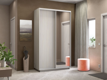 Шкаф-купе Экспресс Медиум дуо 2200 x 1400 x 600