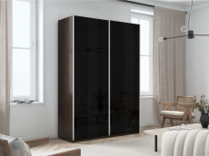 Шкафы-купе 2-х дверные, Шкаф-купе Прайм 2-х дверный Стекла черные/Доводчики 120х57х230