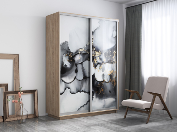 Шкаф-купе Экспресс 1001, 120х45х220