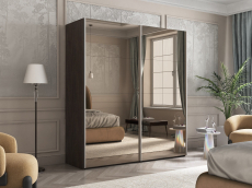 Шкафы-купе 2-х дверные, Шкаф-купе Эста Зеркало+Зеркало 200х66х240