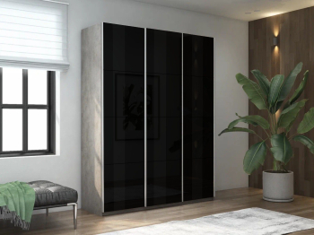 Шкаф-купе Прайм 3-х дверный Стекла черные/Доводчики 210х57х230